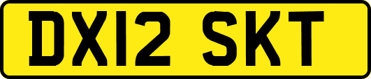 DX12SKT