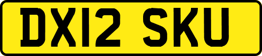 DX12SKU