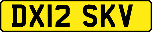 DX12SKV