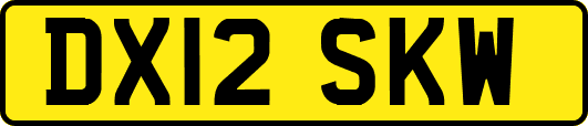 DX12SKW