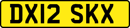 DX12SKX