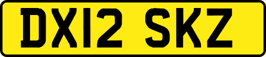 DX12SKZ