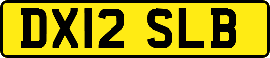 DX12SLB