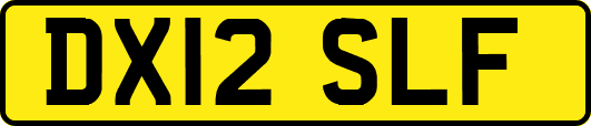 DX12SLF