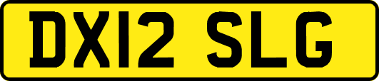 DX12SLG