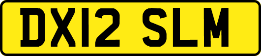 DX12SLM