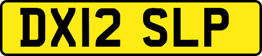 DX12SLP