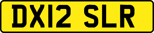 DX12SLR