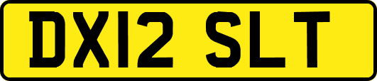 DX12SLT