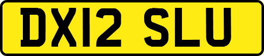 DX12SLU
