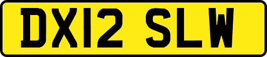DX12SLW