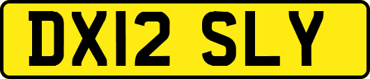 DX12SLY