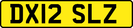 DX12SLZ