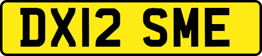 DX12SME