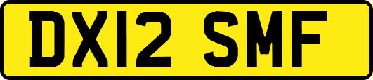 DX12SMF