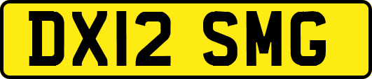 DX12SMG