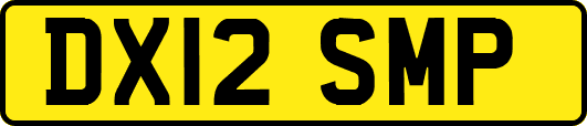 DX12SMP