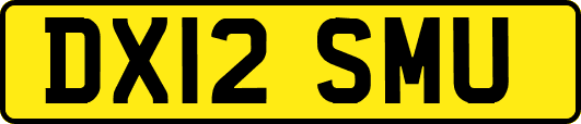 DX12SMU