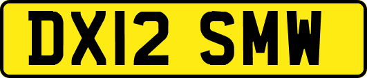 DX12SMW