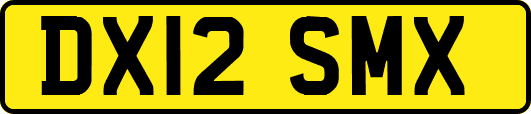 DX12SMX
