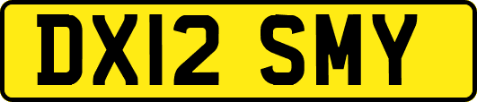 DX12SMY