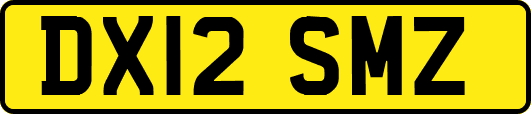 DX12SMZ