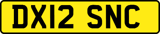 DX12SNC