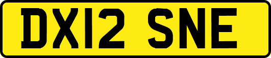 DX12SNE