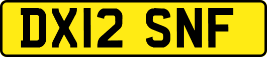 DX12SNF