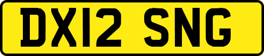 DX12SNG