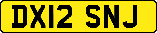 DX12SNJ
