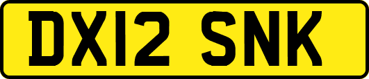 DX12SNK