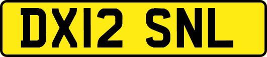 DX12SNL