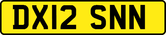 DX12SNN