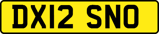 DX12SNO