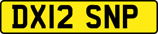 DX12SNP
