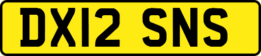 DX12SNS