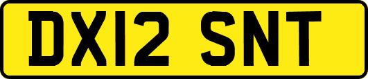 DX12SNT