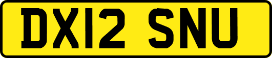 DX12SNU