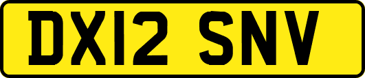 DX12SNV