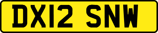 DX12SNW