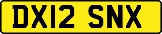DX12SNX