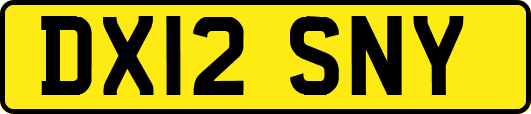 DX12SNY