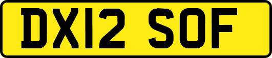DX12SOF