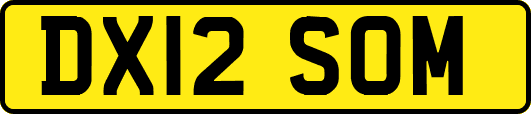 DX12SOM