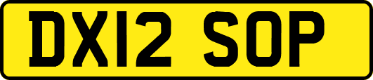 DX12SOP