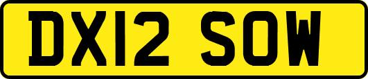 DX12SOW