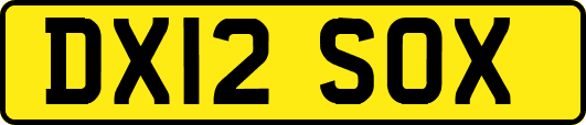 DX12SOX