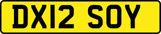 DX12SOY