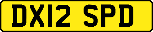 DX12SPD